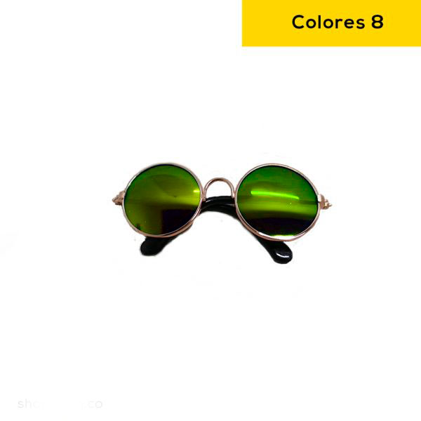 Gafas para gatos