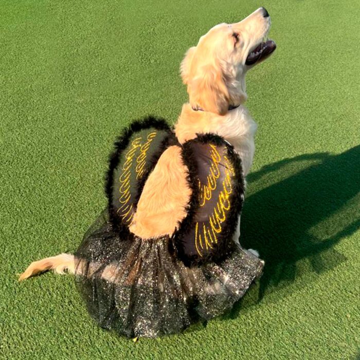 Disfraz Mascota Angel Negro OF-1487PET