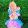 Disfraz Para Mascota Mariposa Halloweeen