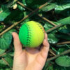 Pelotas de goma para perros con diseños