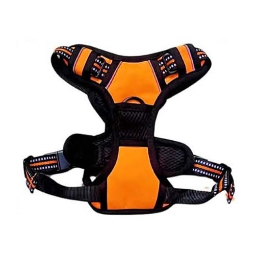 Pechera Para Perro Mascota