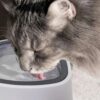 BEBEDERO DE AGUA PARA MASCOTAS ANTIDERRAME