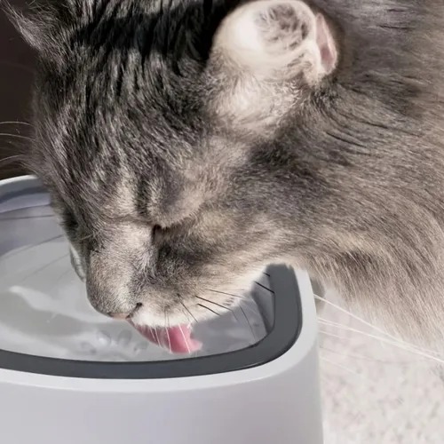 BEBEDERO DE AGUA PARA MASCOTAS ANTIDERRAME