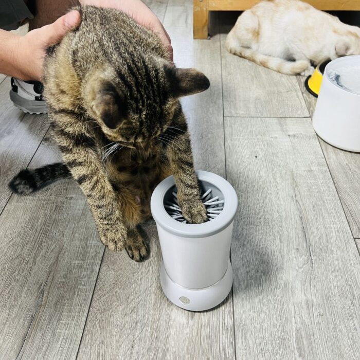 Limpiador de patas para mascota