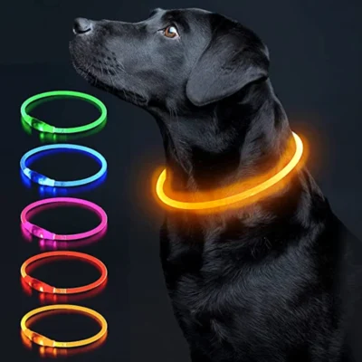 Collar Para Mascota Con Luz Led