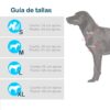 Disfraz Para Mascotas Hada Verde DMHV-01