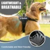 Chaleco para mascota
