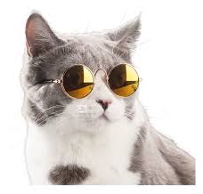 GAFA MASCOTA
