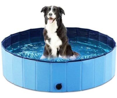 PISCINA PARA MASCOTAS