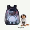 Morral Para Mascotas