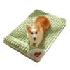 Cama Ortopedica para mascotas