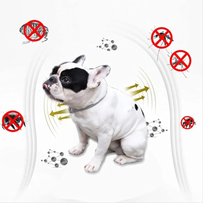 Combo quita pulga + aspiradora de mascota