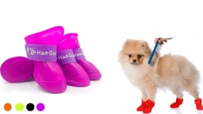 Zapatos para mascota talla L