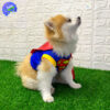 Disfraz Mascotas Súper Man GD01SUPERM
