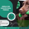 Cepillo De Dientes Para Perros