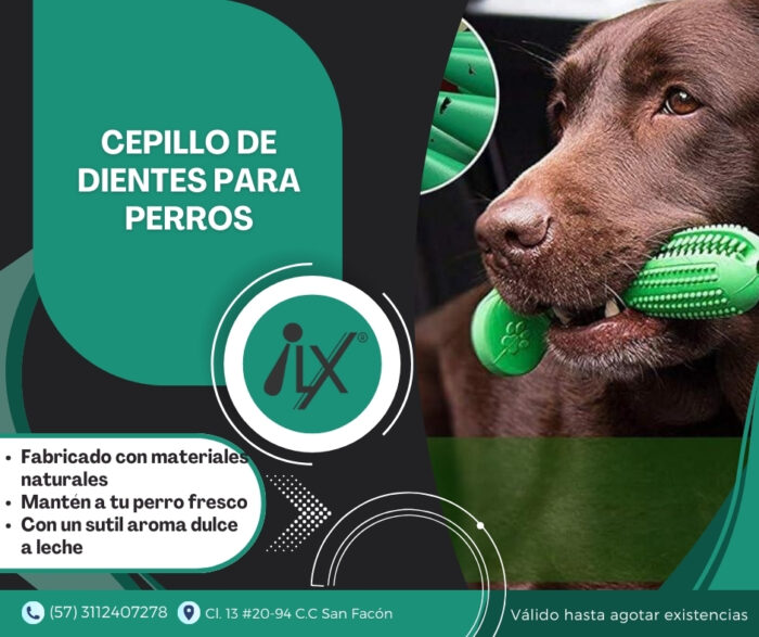 Cepillo De Dientes Para Perros
