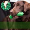 Cepillo De Dientes Para Perros