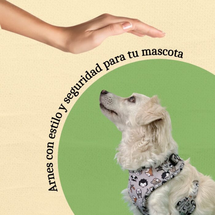 Arnés Para Perro Estampado