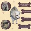 Arnés Para Perro Estampado