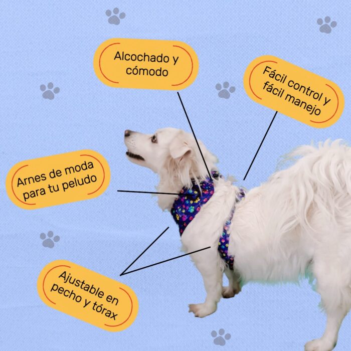 Arnés Para Perro Estampado