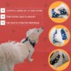 Arnés Para Perro Estampado