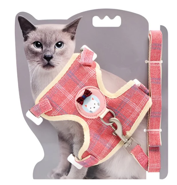 ARNES PARA GATO