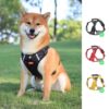 Arnes Pechera Chaleco Para Perros Razas