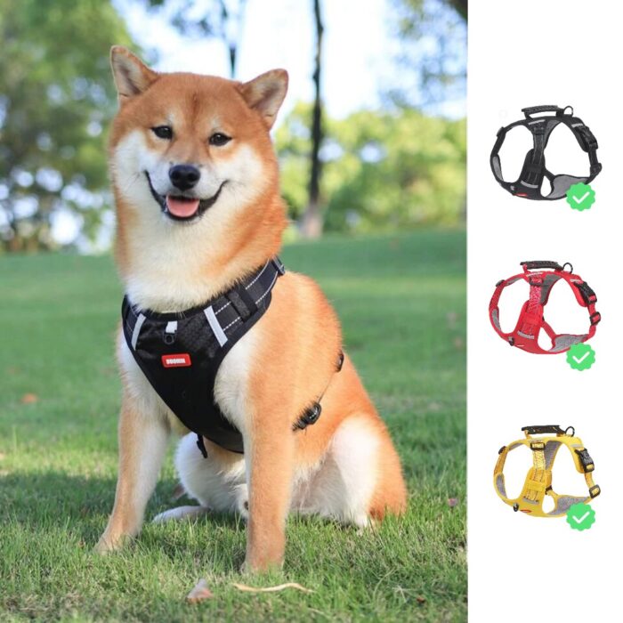 Arnes Pechera Chaleco Para Perros Razas