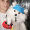 GORRA PARA MASCOTAS PERRO O GATO - Dropi 95310 - Imagen 120602