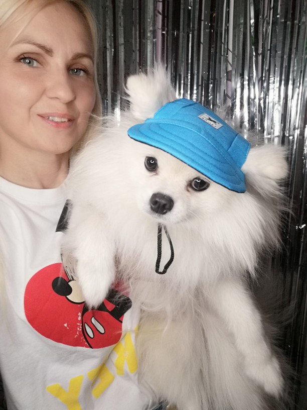 GORRA PARA MASCOTAS PERRO O GATO - Dropi 95310 - Imagen 120602