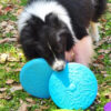 Frisbee Juguete Perro Goma Flexible Y Re