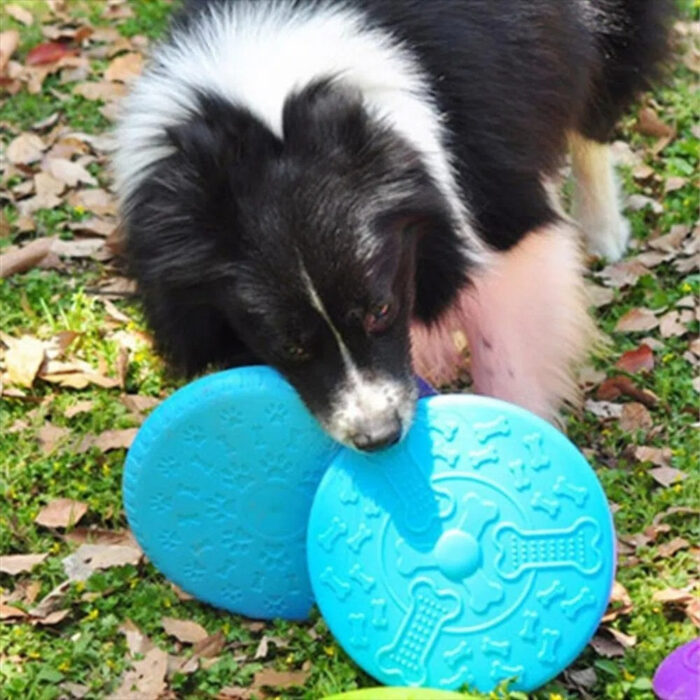Frisbee Juguete Perro Goma Flexible Y Re