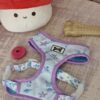 Arnes para perros