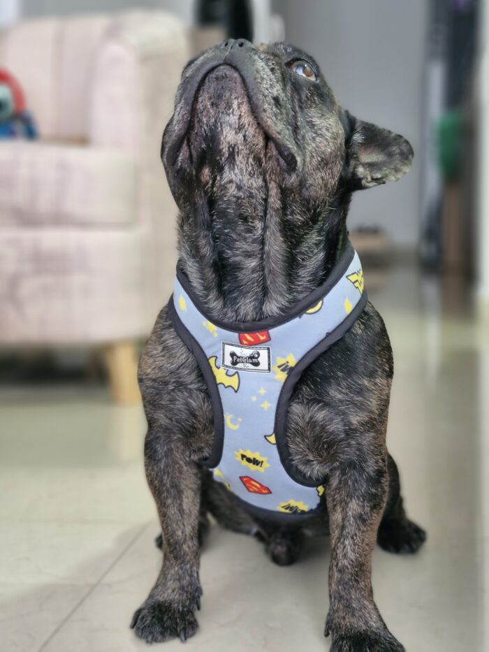 Arnes para perros