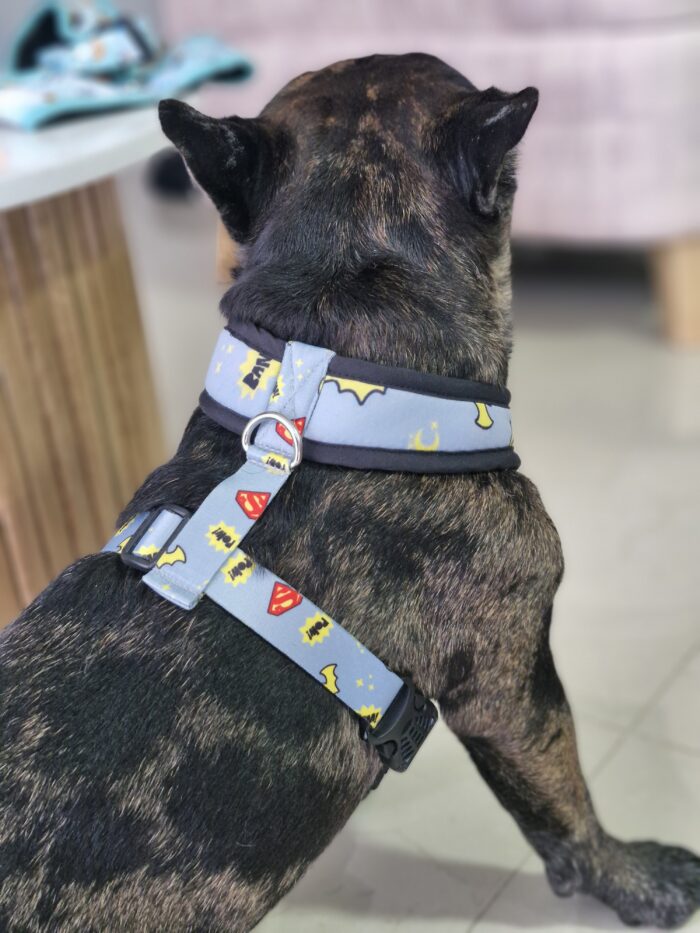 Arnes para perros
