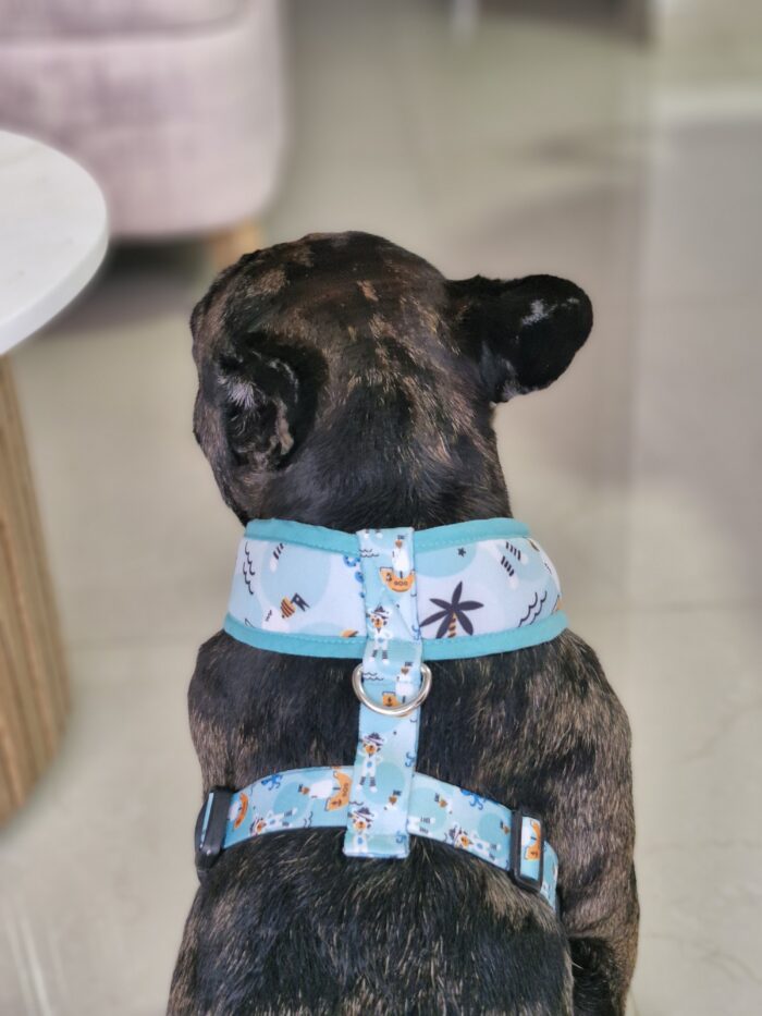 Arnes para perros