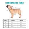 Arnes Perro con Correa razas Pequeñas