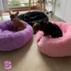 Camas perros y gatos + Forro , T.D.P