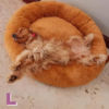 Camas perros y gatos + Forro , T.D.P