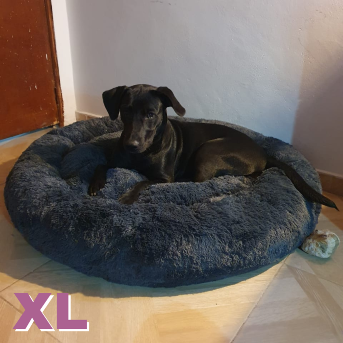 Camas perros y gatos + Forro , T.D.P