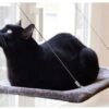 Cama colgante para gato