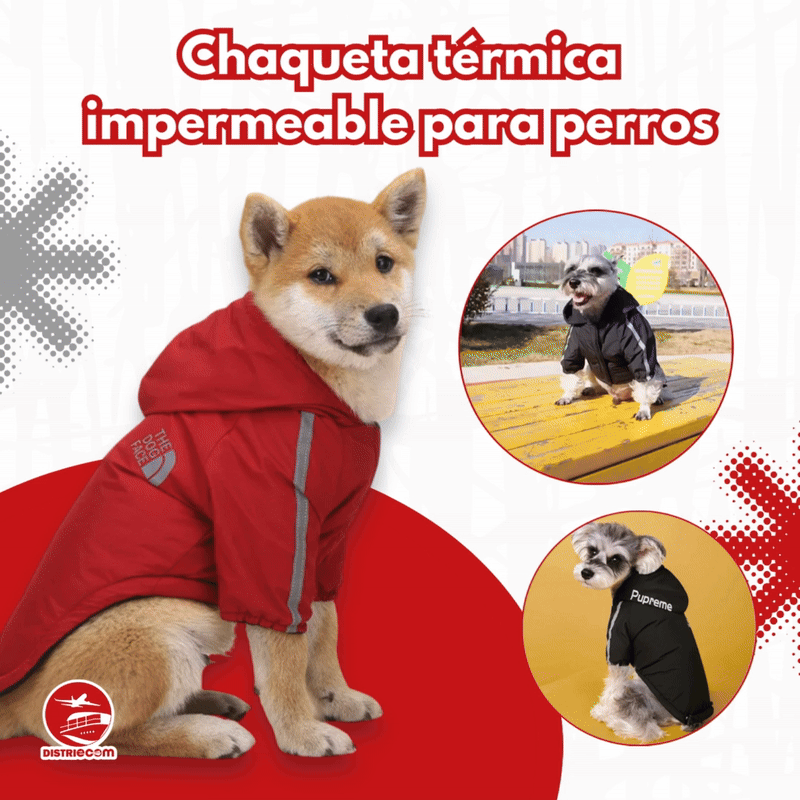 CHAQUETA TÉRMICA IMPERMEABLE PARA PERROS