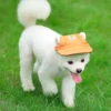 Gorra para mascota