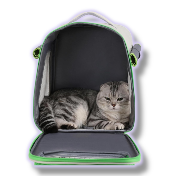 Maleta Transporte Accesorios Mascotas Vi