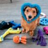 Juguete Mascotas Perro Gato AF6603-04