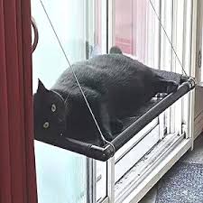 Cama colgante para gato