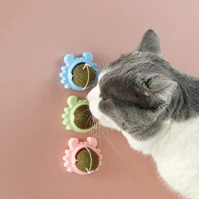 Juguete para gatos Catnip autoadhesivo