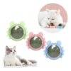 Juguete para gatos Catnip autoadhesivo