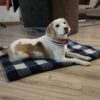 CAMA MASCOTAS - ALFOMBRILLA CAMA VIAJERA