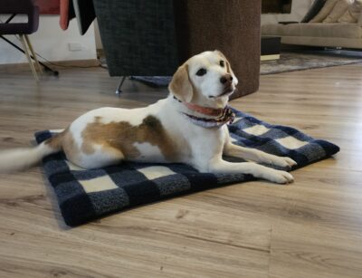 CAMA MASCOTAS - ALFOMBRILLA CAMA VIAJERA